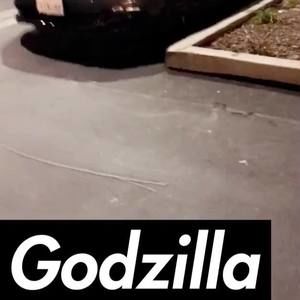 Meet your Posher, George